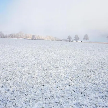 In Nahe Kellerwald Apartment *